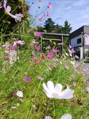 浦河神社(北海道)