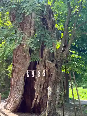 松尾院(山形県)