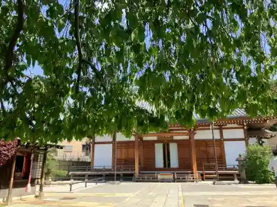 長明寺の{uncategorized: "未分類", other: "その他", undefined: "問題あり", building: "その他建物", grave: "お墓", sacred_gate: "鳥居", guardian: "狛犬", statue: "像", buddha: "仏像", history: "歴史", nature: "自然", garden: "庭園", animal: "動物", pagoda: "塔", temizu: "手水舎", mountain_gate: "山門・神門", sanctuary: "本殿・本堂", subordinate: "末社・摂社", art: "芸術", scenery: "景色", jizo: "地蔵", ema: "絵馬", goshuin: "御朱印", omikuji: "おみくじ", items: "授与品その他", amulet: "お守り", goshuincho: "御朱印帳", eats: "食事", festival: "お祭り", votive_dance: "神楽", shichigosan: "七五三参", wedding: "結婚式", experience: "体験その他", initially: "初詣", around: "周辺", anti_infection: "感染症対策"}