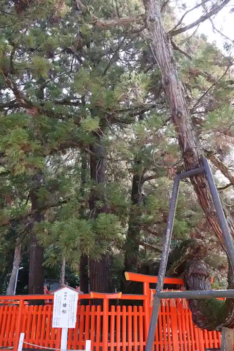 香椎宮(福岡県)