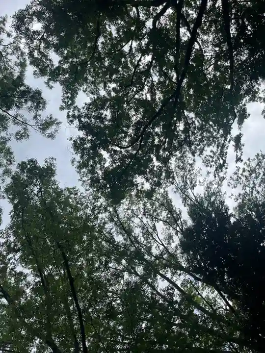 大國魂神社(東京都)