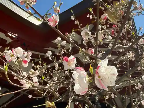 素盞雄神社の{uncategorized: "未分類", other: "その他", undefined: "問題あり", building: "その他建物", grave: "お墓", sacred_gate: "鳥居", guardian: "狛犬", statue: "像", buddha: "仏像", history: "歴史", nature: "自然", garden: "庭園", animal: "動物", pagoda: "塔", temizu: "手水舎", mountain_gate: "山門・神門", sanctuary: "本殿・本堂", subordinate: "末社・摂社", art: "芸術", scenery: "景色", jizo: "地蔵", ema: "絵馬", goshuin: "御朱印", omikuji: "おみくじ", items: "授与品その他", amulet: "お守り", goshuincho: "御朱印帳", eats: "食事", festival: "お祭り", votive_dance: "神楽", shichigosan: "七五三参", wedding: "結婚式", experience: "体験その他", initially: "初詣", around: "周辺", anti_infection: "感染症対策"}