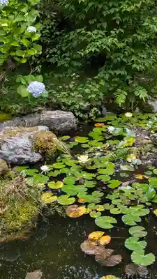 十輪寺(京都府)