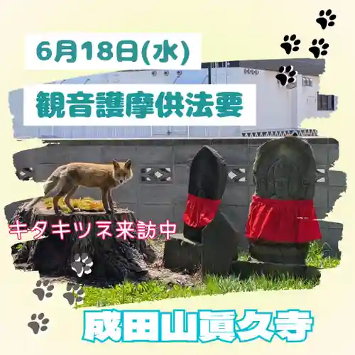 眞久寺の体験その他