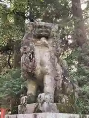 春日大社の狛犬