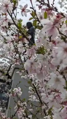 妙蓮寺(京都府)