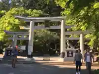 三峯神社の鳥居