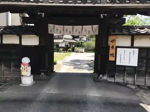 四季桜の寺 妙乗院の山門・神門