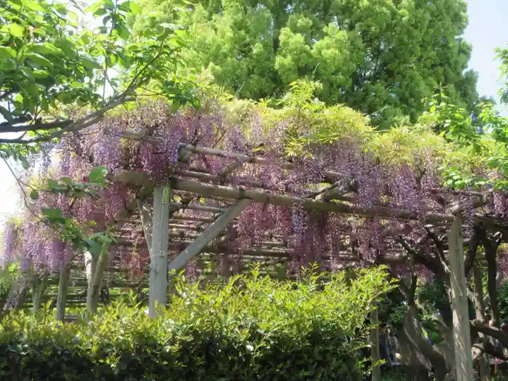 亀戸天神社(東京都)