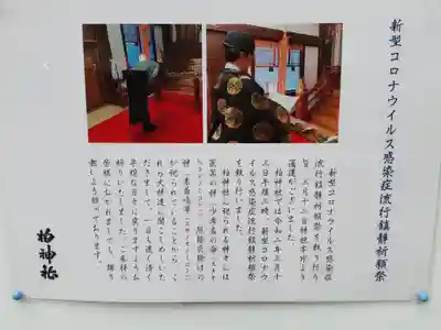 柏神社(千葉県)