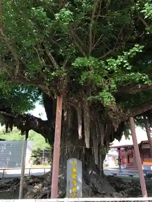 千葉寺(千葉県)