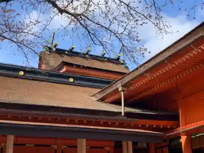 富士山本宮浅間大社の本殿・本堂