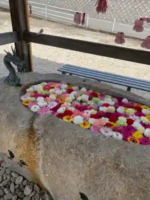 金井神社の手水舎