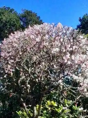中野沼袋氷川神社(東京都)