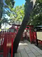 蛇松神社(新潟県)