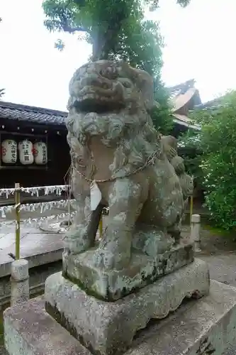 縣神社の狛犬