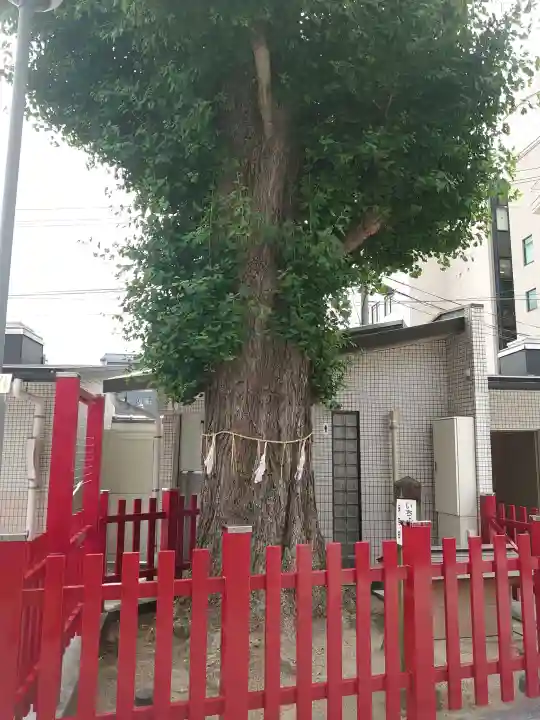 若八幡宮(福岡県)