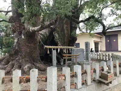 宇美八幡宮(福岡県)