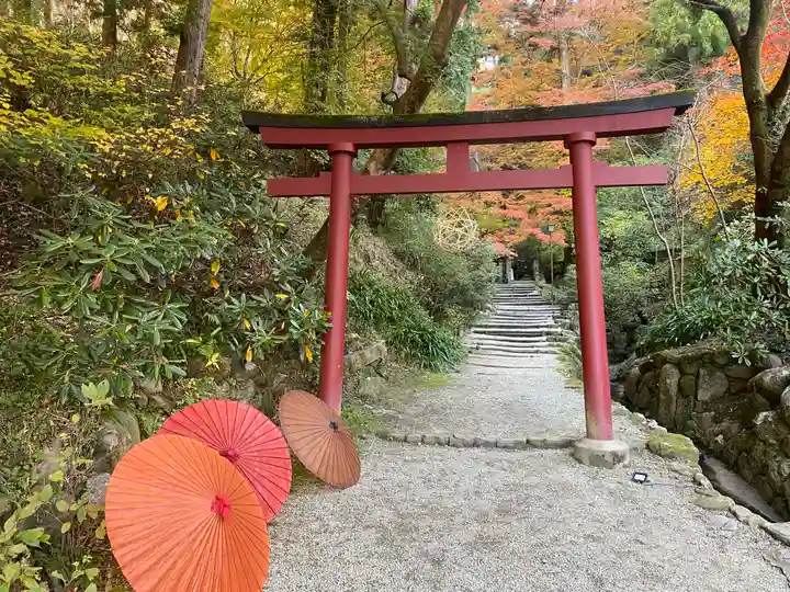 岡寺(龍蓋寺)(奈良県)