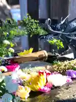 札幌護國神社の手水舎