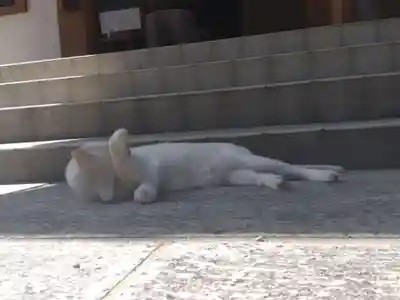 宝寿院(愛知県)