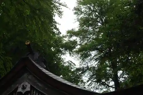 貴船神社(京都府)