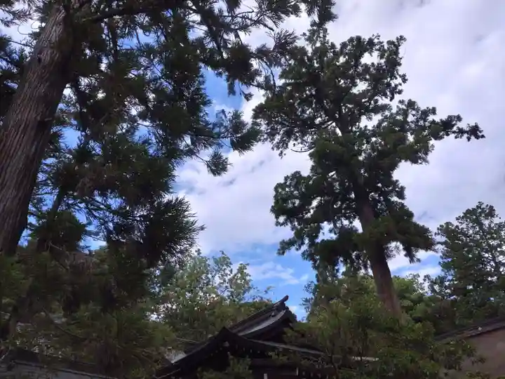 大縣神社の自然