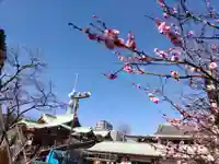 亀戸天神社(東京都)