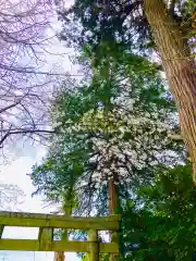 岡見八坂神社(茨城県)