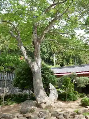 金蛇水神社(宮城県)
