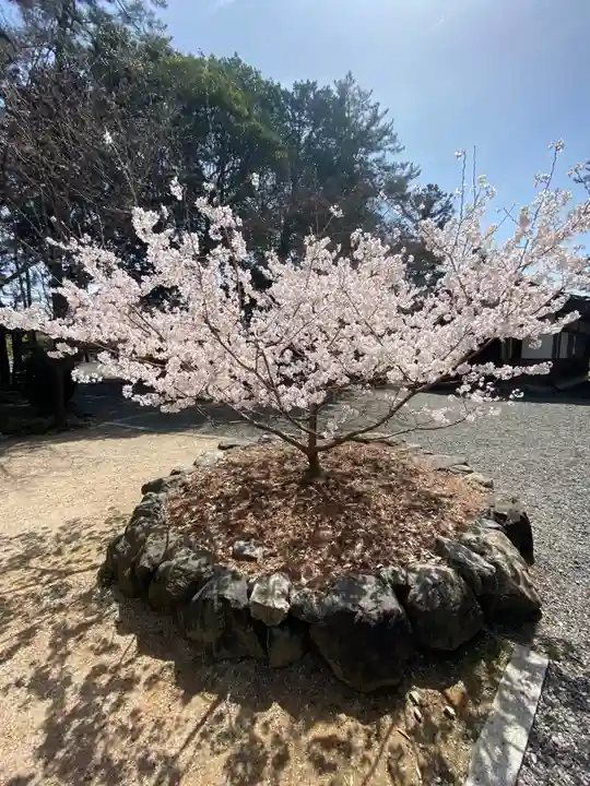 建部大社の自然