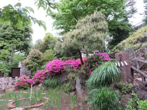 鳩森八幡神社のその他建物
