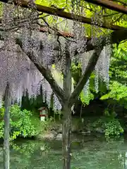 富士山本宮浅間大社(静岡県)