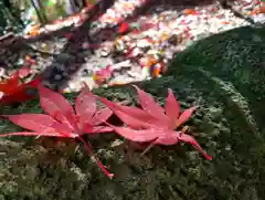 滑川神社 - 仕事と子どもの守り神の自然