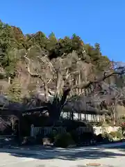 久遠寺(山梨県)