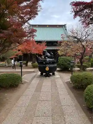 豪徳寺(東京都)