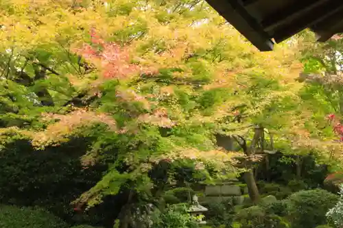 源光庵(京都府)