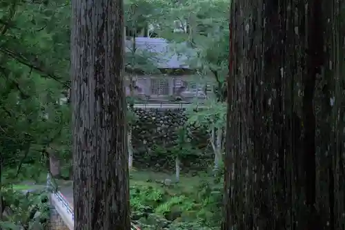 白山中居神社(岐阜県)