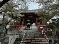 浄心寺の{uncategorized: "未分類", other: "その他", undefined: "問題あり", building: "その他建物", grave: "お墓", sacred_gate: "鳥居", guardian: "狛犬", statue: "像", buddha: "仏像", history: "歴史", nature: "自然", garden: "庭園", animal: "動物", pagoda: "塔", temizu: "手水舎", mountain_gate: "山門・神門", sanctuary: "本殿・本堂", subordinate: "末社・摂社", art: "芸術", scenery: "景色", jizo: "地蔵", ema: "絵馬", goshuin: "御朱印", omikuji: "おみくじ", items: "授与品その他", amulet: "お守り", goshuincho: "御朱印帳", eats: "食事", festival: "お祭り", votive_dance: "神楽", shichigosan: "七五三参", wedding: "結婚式", experience: "体験その他", initially: "初詣", around: "周辺", anti_infection: "感染症対策"}