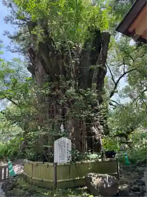 加藤神社(熊本県)