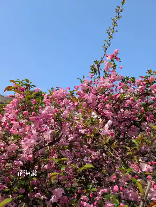 豊顕寺(神奈川県)