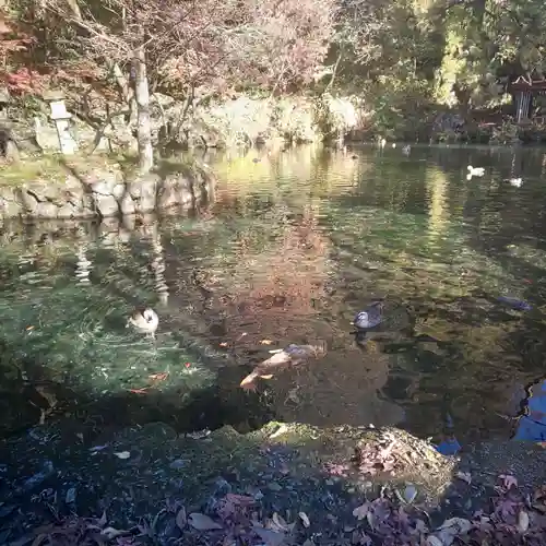 涌釜神社の庭園