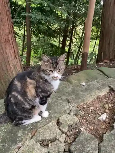 玉野御嶽神社の動物