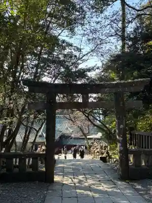 久能山東照宮の{uncategorized: "未分類", other: "その他", undefined: "問題あり", building: "その他建物", grave: "お墓", sacred_gate: "鳥居", guardian: "狛犬", statue: "像", buddha: "仏像", history: "歴史", nature: "自然", garden: "庭園", animal: "動物", pagoda: "塔", temizu: "手水舎", mountain_gate: "山門・神門", sanctuary: "本殿・本堂", subordinate: "末社・摂社", art: "芸術", scenery: "景色", jizo: "地蔵", ema: "絵馬", goshuin: "御朱印", omikuji: "おみくじ", items: "授与品その他", amulet: "お守り", goshuincho: "御朱印帳", eats: "食事", festival: "お祭り", votive_dance: "神楽", shichigosan: "七五三参", wedding: "結婚式", experience: "体験その他", initially: "初詣", around: "周辺", anti_infection: "感染症対策"}