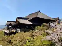 清水寺の本殿・本堂