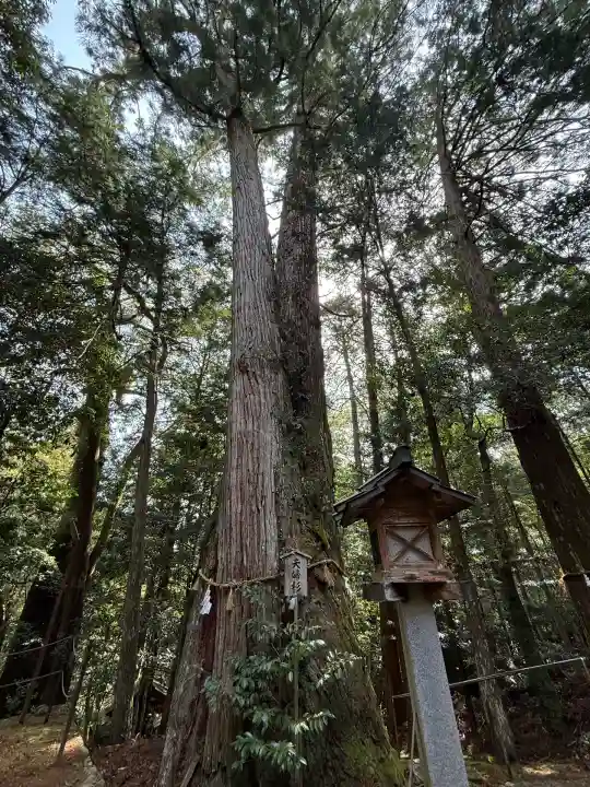 大馬神社(三重県)