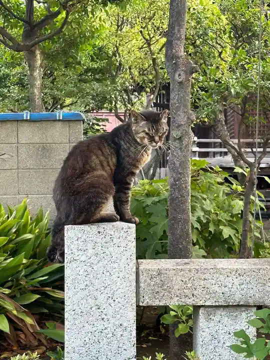 白山神社(東京都)