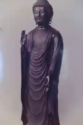 善導寺(福井県)