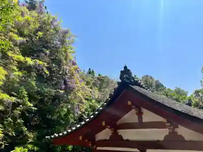 春日大社(奈良県)