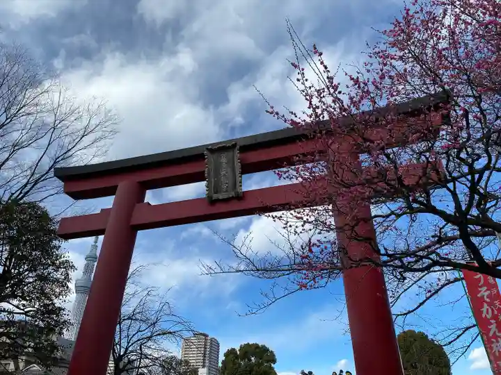 亀戸天神社(東京都)
